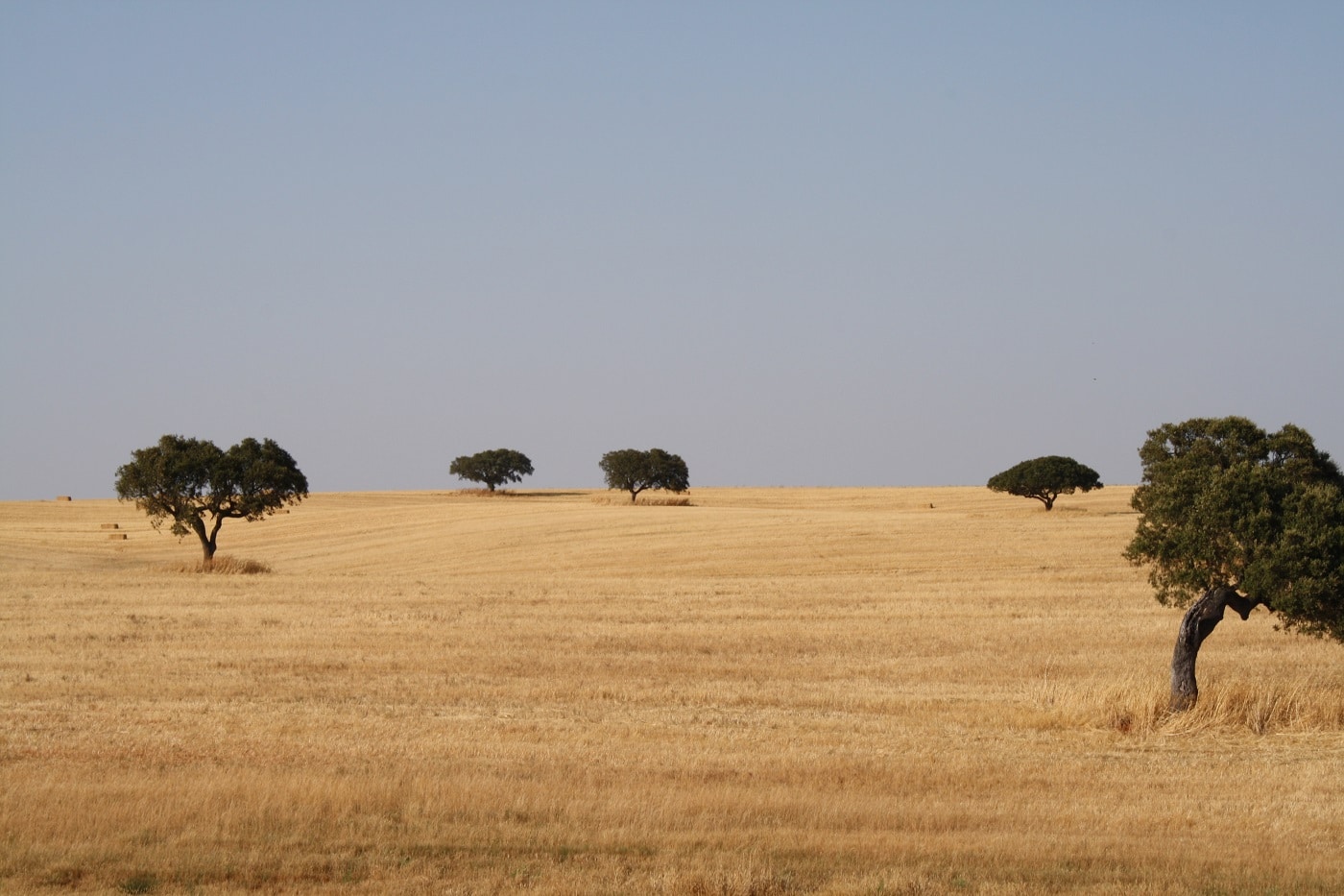 Alentejo Portugal